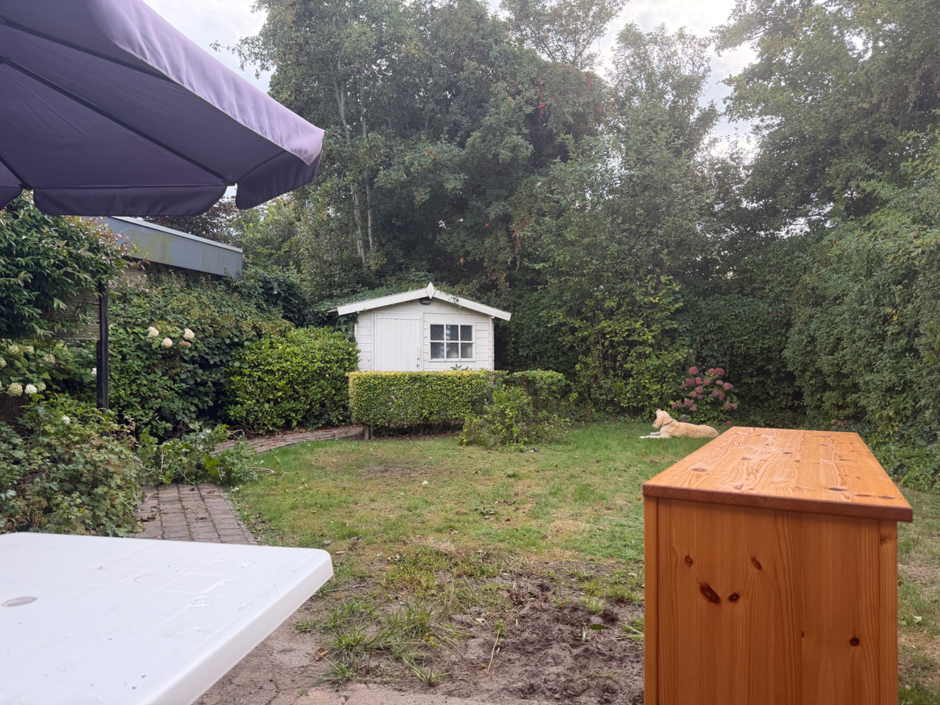 Haus Gelukkig Nr. 156 Sint Maartenszee Bild 5