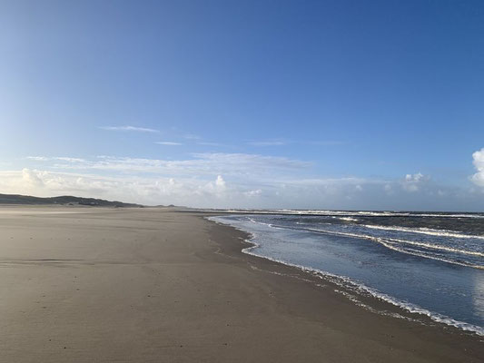 Haus "Beachhouse" Nr. 117 Sint Maartenszee Bild 30